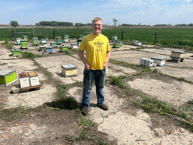 Our beehives on the Iowa prairie