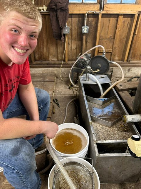 Extracting raw honey at the farm